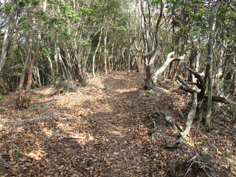 20131124hike (138)